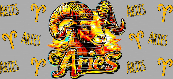 16oz Constellation-CI-50